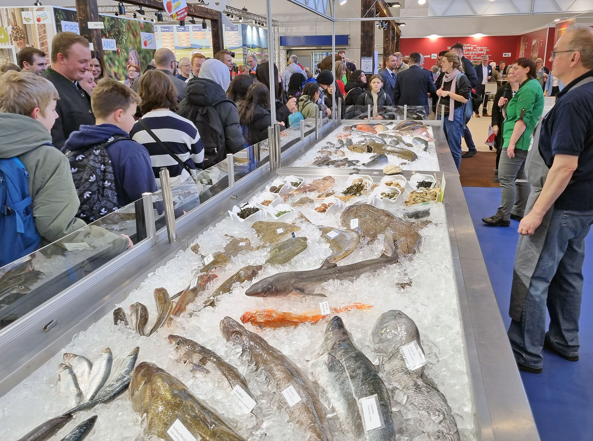 Lange Theke mit reichlicher Frischfisch-Auslage auf dem Fischwirtschaftsgipfel 2024