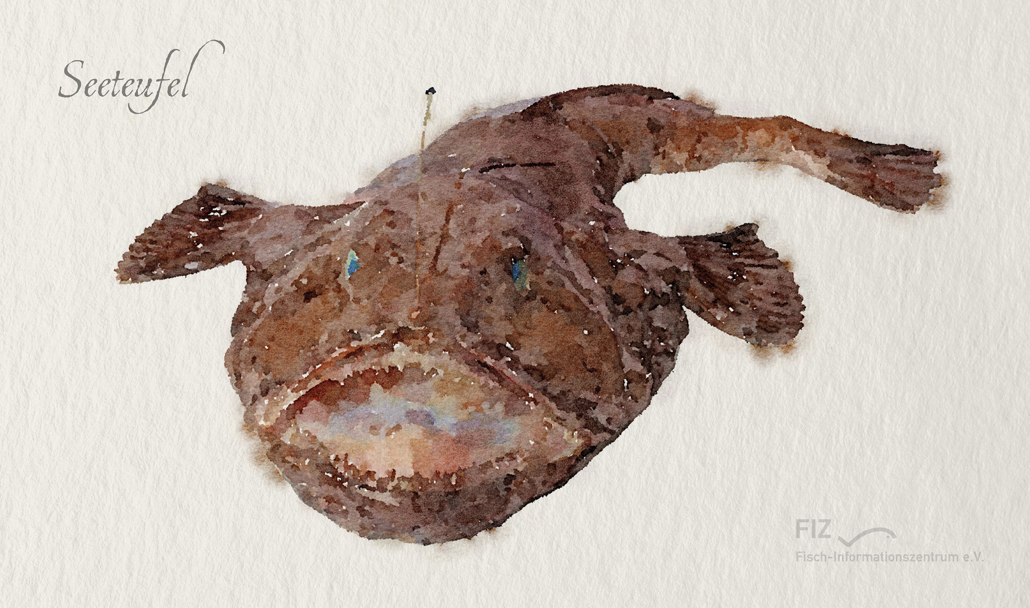 Rotbarsch: Illustration des Fischs im Aquarell-Stil