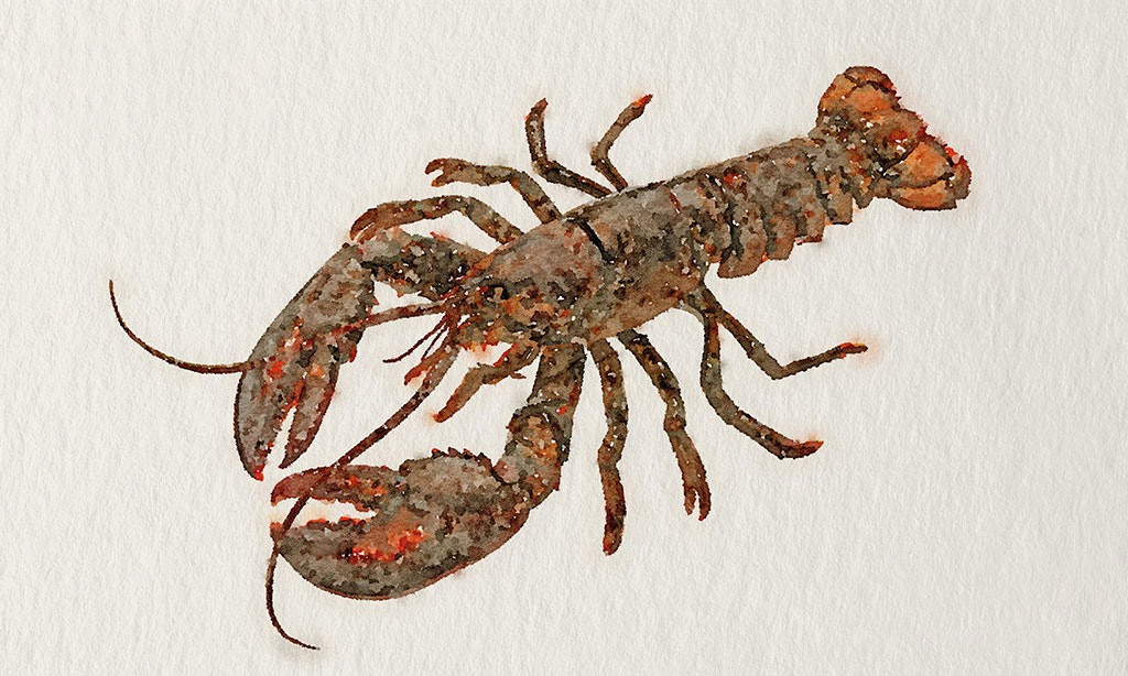 Hummer Thumbnail