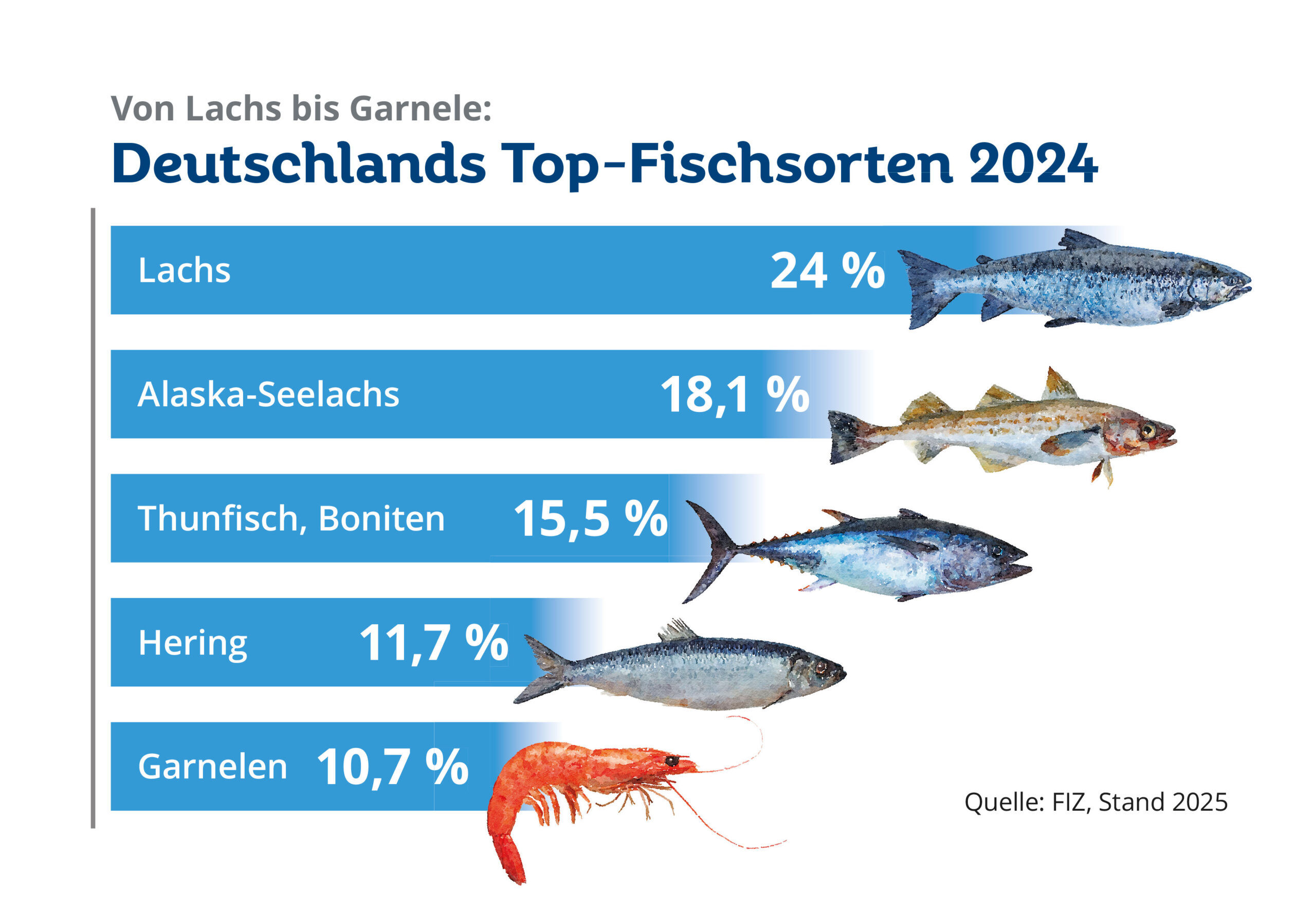 Grafik_Fisch_im_Markt