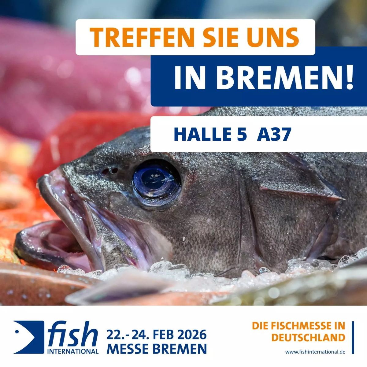 Banner zur Fish International